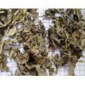 Hochwertige Artemisiae Argyi Folium